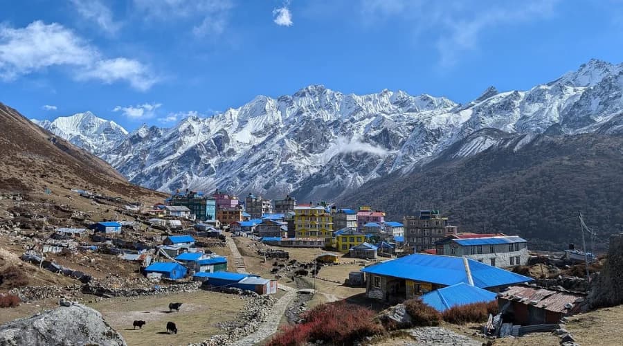 Langtang & Kyanjin Village Helicopter Tour